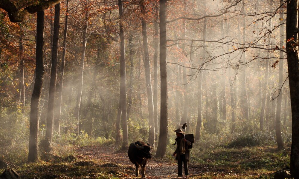 The Walking Dead Wallpaper: The Ultimate Guide to Finding, Choosing, and Using the Best TWD Backgrounds