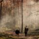 The Walking Dead Wallpaper: The Ultimate Guide to Finding, Choosing, and Using the Best TWD Backgrounds