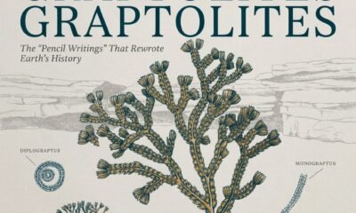 graptolites