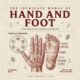The Intricate World of "Hand and Foot": From Idioms to Anatomy and Beyond