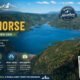 Lake Nighthorse 2026: Complete Visitor Guide, Fees, Fishing, Boating & Things to Do Near Durango