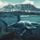 odd shark