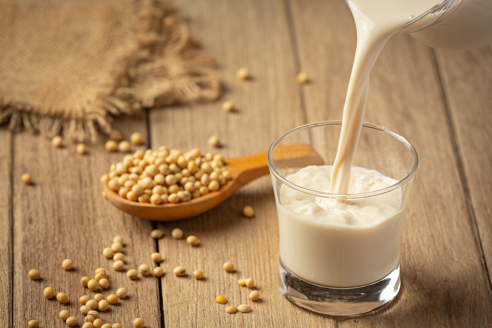 back casting room Insoya: The Complete Guide to Next-Generation Soy Protein for 2026