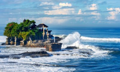 amed bali