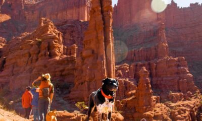 sedona uptown